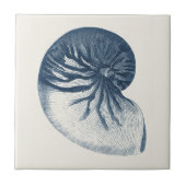 Indigo Shark Eye Seashell Tegeltje (Voorkant)