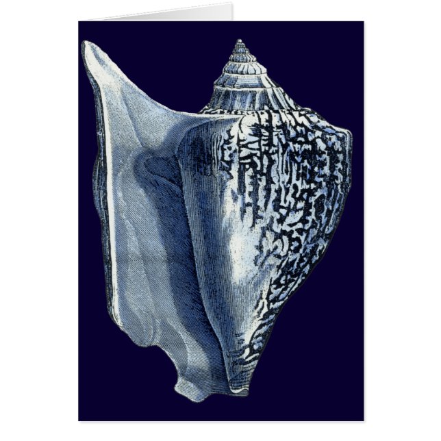 Indigo Shells I (Voorkant)