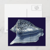 Indigo Shells I Briefkaart (Voorkant / Achterkant)