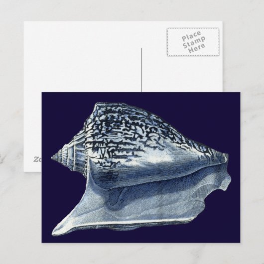 Indigo Shells I Briefkaart (Voorkant / Achterkant)