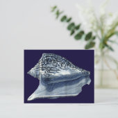 Indigo Shells I Briefkaart (Staand voorkant)