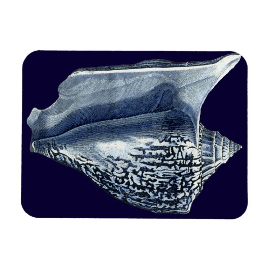 Indigo Shells I Magneet (Horizontaal)
