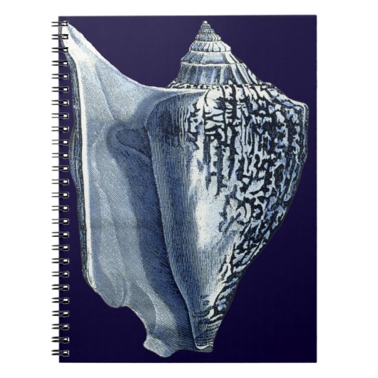 Indigo Shells I Notitieboek (Voorkant)