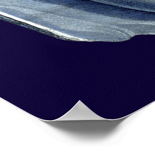 Indigo Shells I Poster (Hoek)