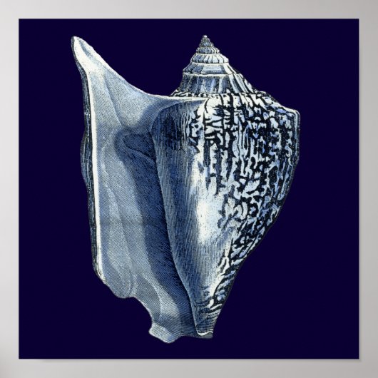 Indigo Shells I Poster (Voorkant)