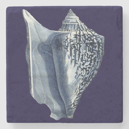 Indigo Shells I Stenen Onderzetter (Voorkant)