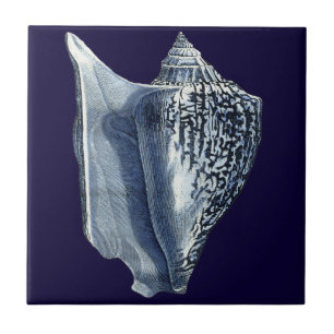 Indigo Shells I Tegeltje