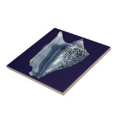 Indigo Shells I Tegeltje (Zijkant)