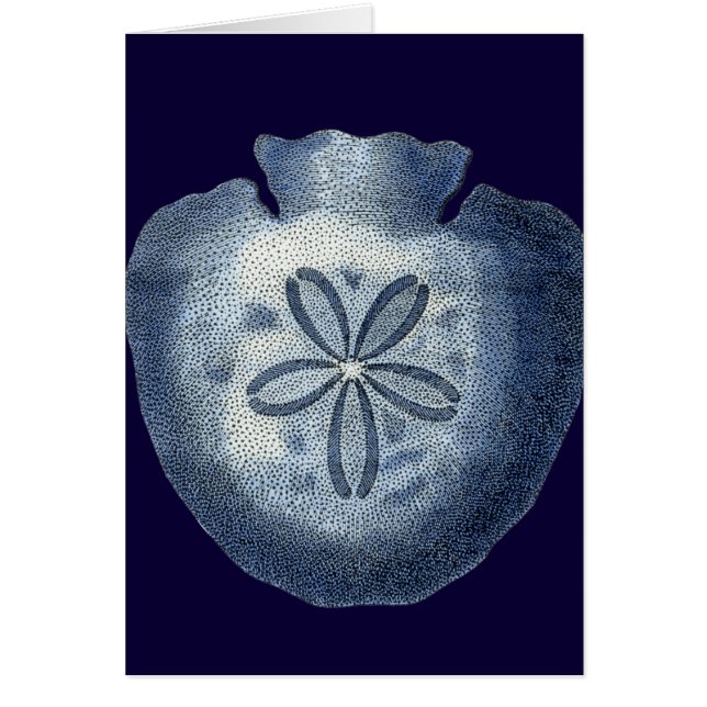 Indigo Shells III (Voorkant)