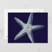 Indigo Shells IV Briefkaart (Voorkant / Achterkant)