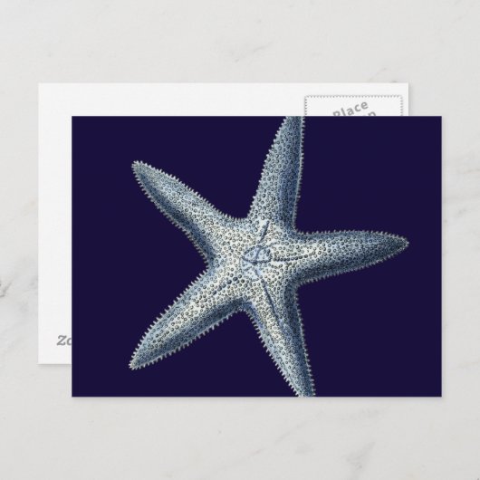 Indigo Shells IV Briefkaart (Voorkant / Achterkant)