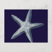 Indigo Shells IV Briefkaart (Voorkant)