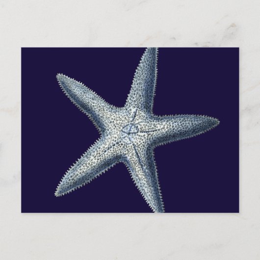 Indigo Shells IV Briefkaart (Voorkant)