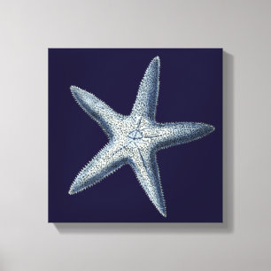 Indigo Shells IV Canvas Afdruk