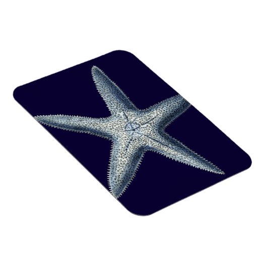 Indigo Shells IV Magneet (Rechterzijde)