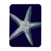 Indigo Shells IV Magneet (Verticaal)