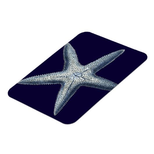 Indigo Shells IV Magneet (Linkerzijde)