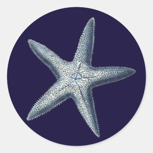 Indigo Shells IV Ronde Sticker (Voorkant)