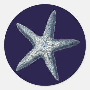 Indigo Shells IV Ronde Sticker