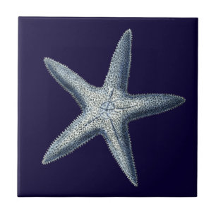 Indigo Shells IV Tegeltje