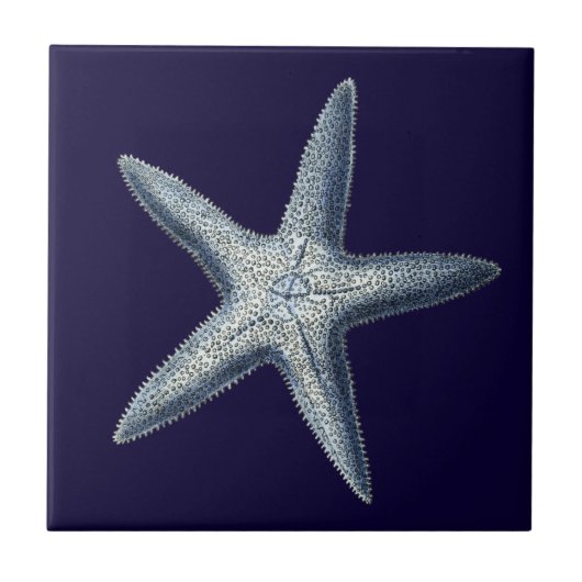 Indigo Shells IV Tegeltje (Voorkant)