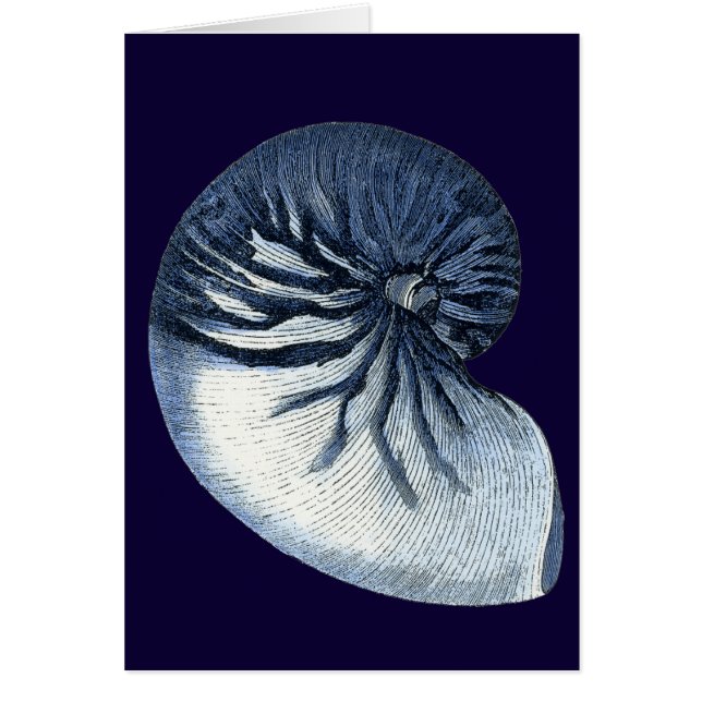 Indigo Shells VII (Voorkant)