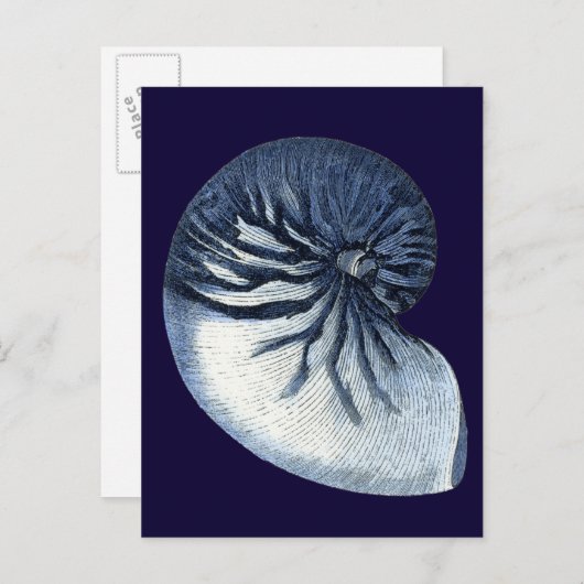 Indigo Shells VII Briefkaart (Voorkant / Achterkant)