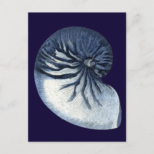 Indigo Shells VII Briefkaart (Voorkant)
