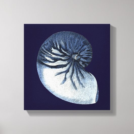 Indigo Shells VII Canvas Afdruk (Voorkant)