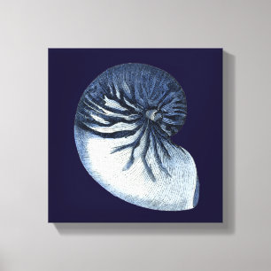 Indigo Shells VII Canvas Afdruk