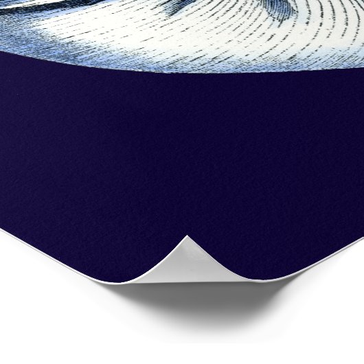 Indigo Shells VII Poster (Hoek)