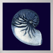Indigo Shells VII Poster (Voorkant)