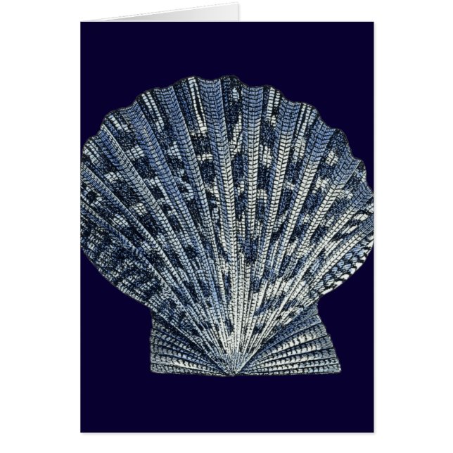 Indigo Shells VIII (Voorkant)
