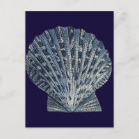 Indigo Shells VIII