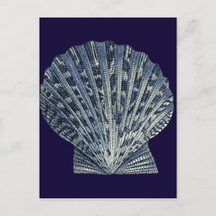 Indigo Shells VIII Briefkaart