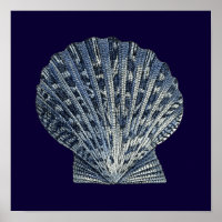 Indigo Shells VIII