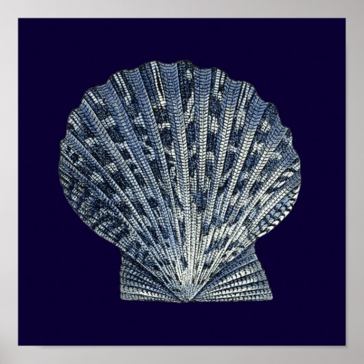 Indigo Shells VIII Poster (Voorkant)