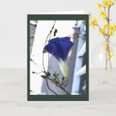 Indigo Swirl Morning Glory Blank Kaart (Gele Bloem)