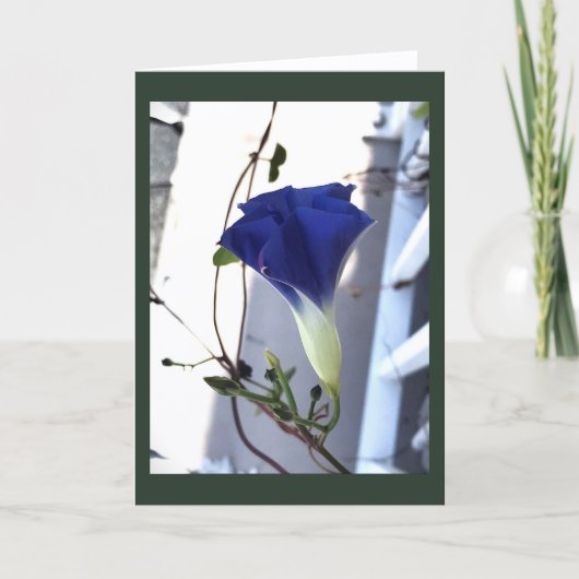 Indigo Werveling Morgen Glorie Blank Kaart (Voorkant)