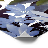 Indigobladeren, Planten poster (Hoek)