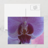 Indigokleurige orchidee briefkaart (Voorkant / Achterkant)