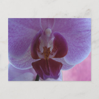 Indigokleurige orchidee briefkaart