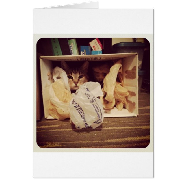 Indigo's geheime hideout (Voorkant)