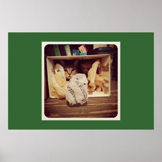 Indigo's geheime hideout poster (Voorkant)