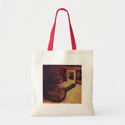 Indigo's Kindle Tote Bag (Voorkant)