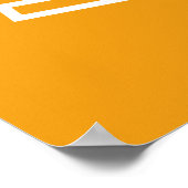 Indira Gandhi International Airport DEL Poster (Hoek)