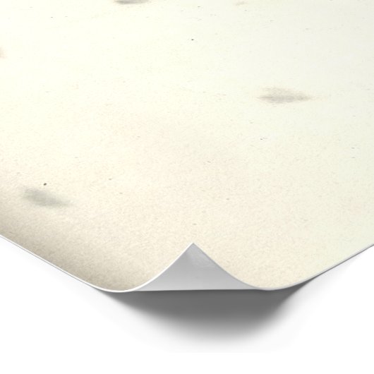 Indira Gandhi Poster (Hoek)