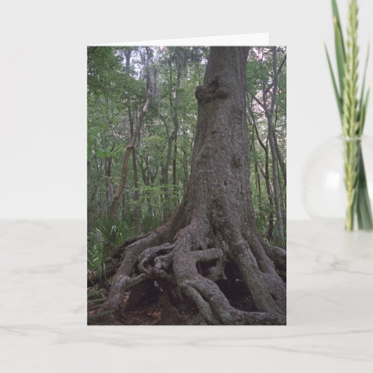 Indische Artifact Custom Louisiana-Wenskaarten Kaart (Voorkant)