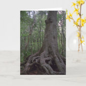 Indische Artifact Custom Louisiana-Wenskaarten Kaart (Gele Bloem)