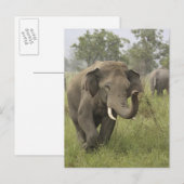 Indische Aziatische olifant begroeting Briefkaart (Voorkant / Achterkant)